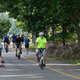 Image for article titled It Turns Out Exercise Isn't as Likely to Ruin Your Knees as You Think